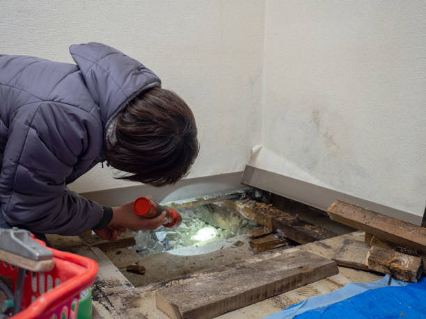 Best Real Estate Mold Inspection  in Stock Island, FL
